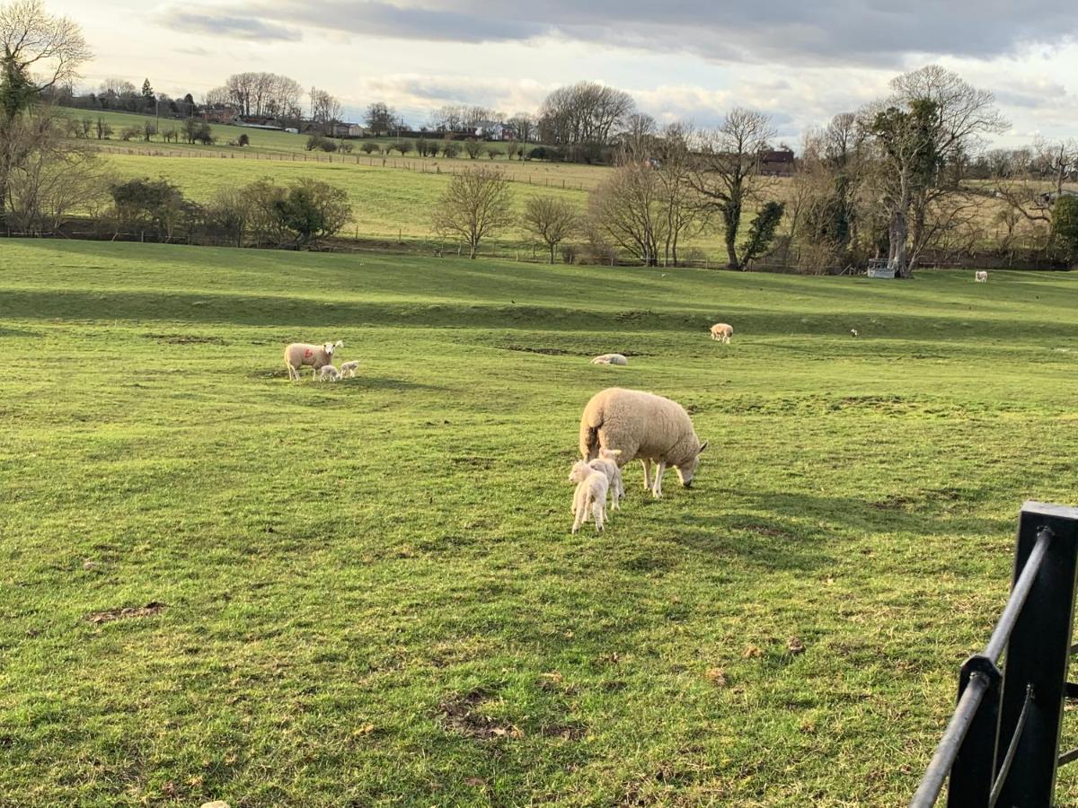 Weatherhead Farm Shepherds Hut Villa Buckingham Exteriör bild